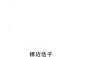 午夜档直播间的台标与桌面对讲机